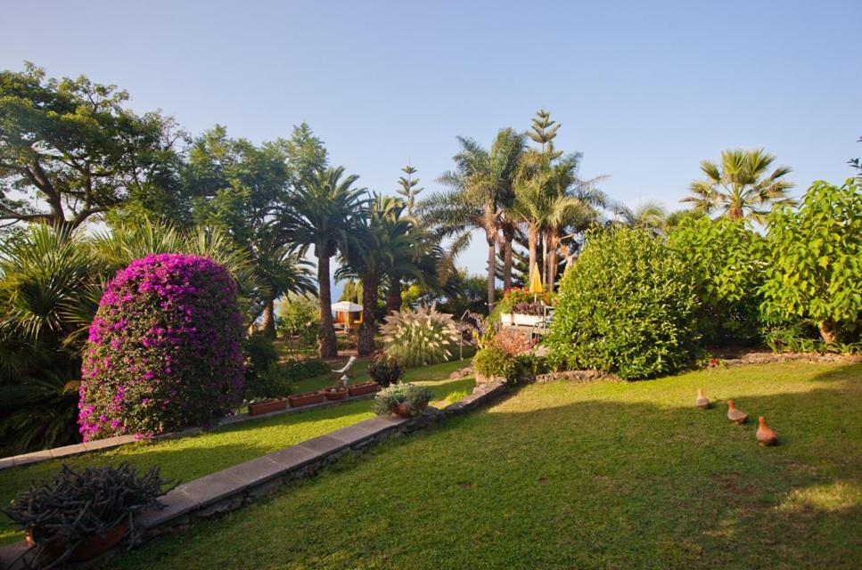 Finca Casa Vieja Hotel Santa Úrsula Esterno foto